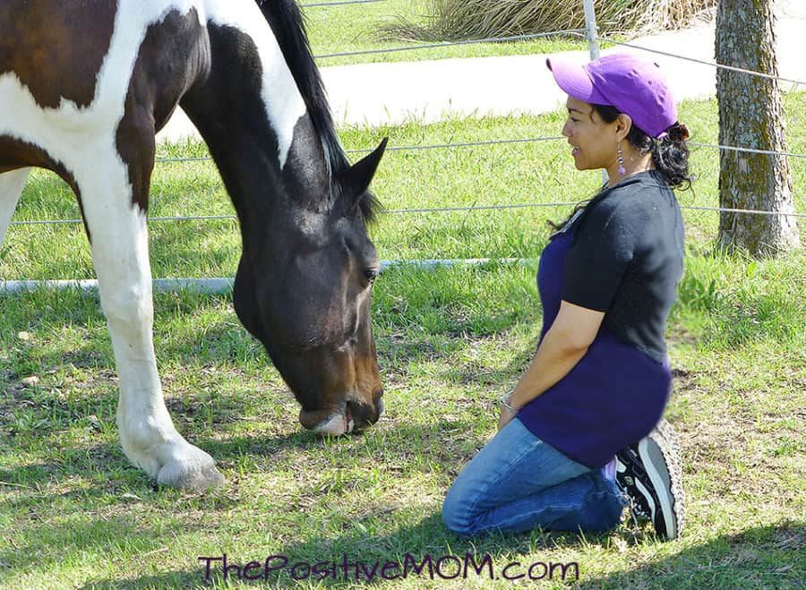 Elayna Fernandez - The Positive Mom - meets Roxy of HerdWise