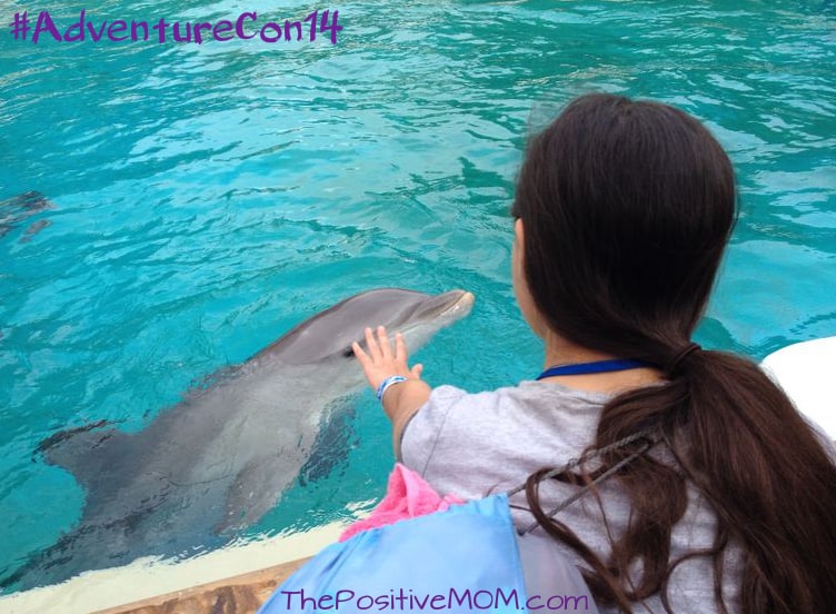 girl with dolphin at seaworld san antonio aquatica