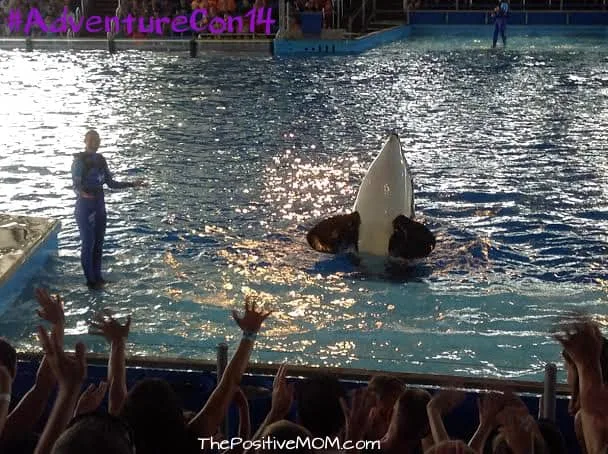 AdventureCon at SeaWorld: Giving A Voice To The Voiceless