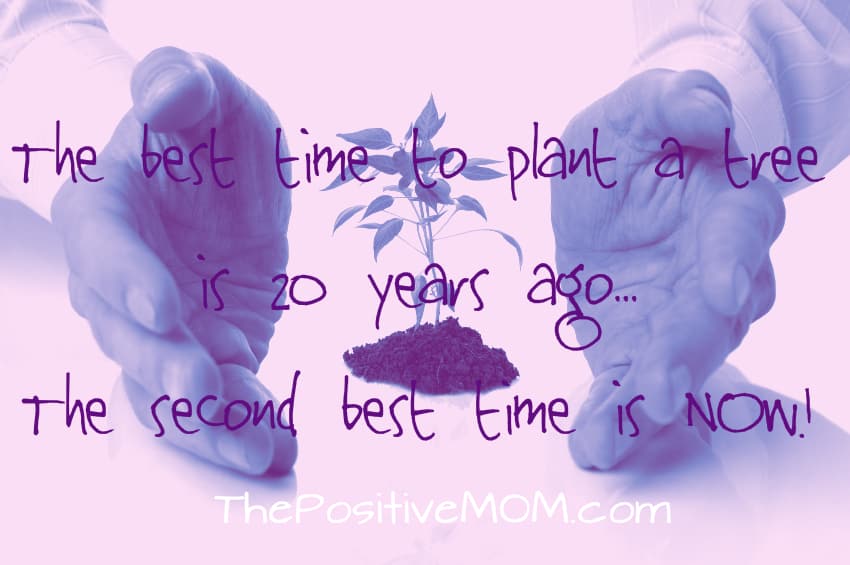 the best time to plant a tree is 20 years ago - the second best time is now