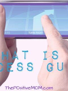 What is a Success Guide? Elayna Fernandez ~ The Positive MOM