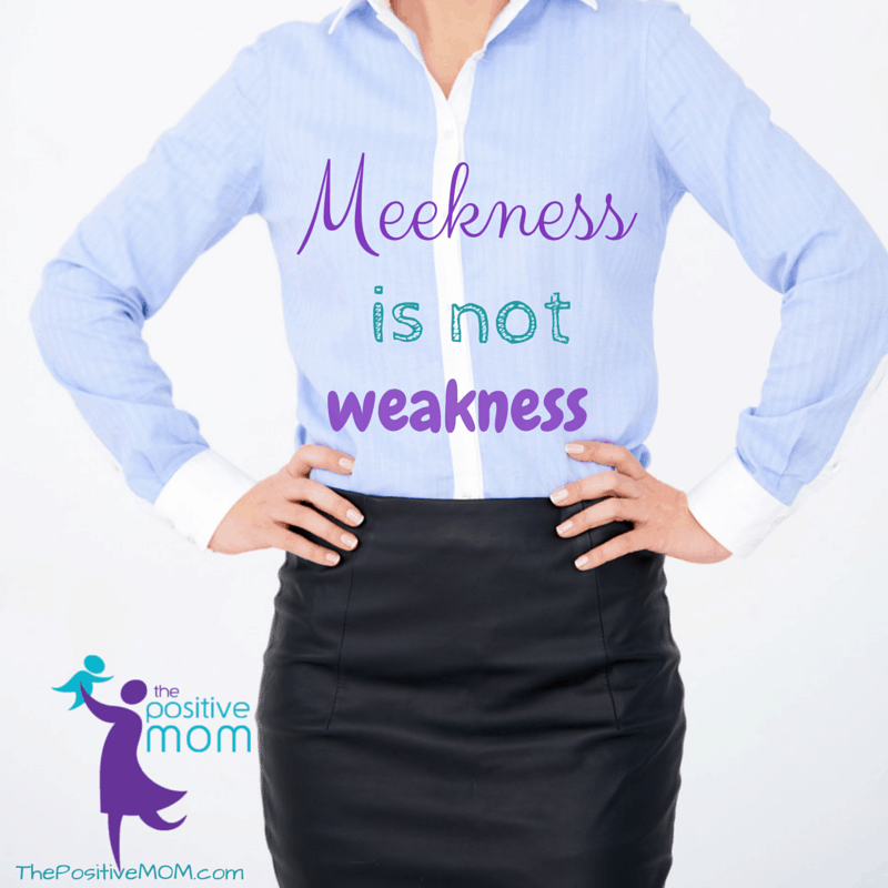 Meekness IS NOT Weakness