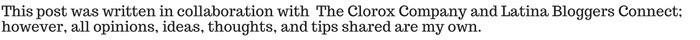 The Clorox Company disclosure