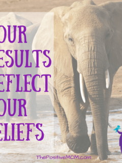 Your results reflect your beliefs - Elayna Fernandez ~ The Positive MOM