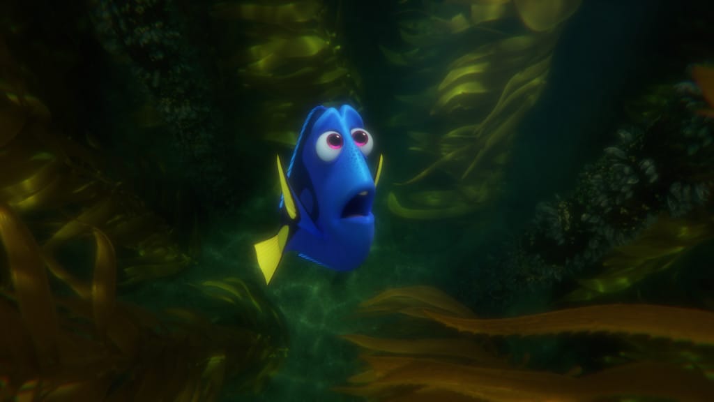 Finding Dory - dealing with disability, difficulties, and disadvantages in life