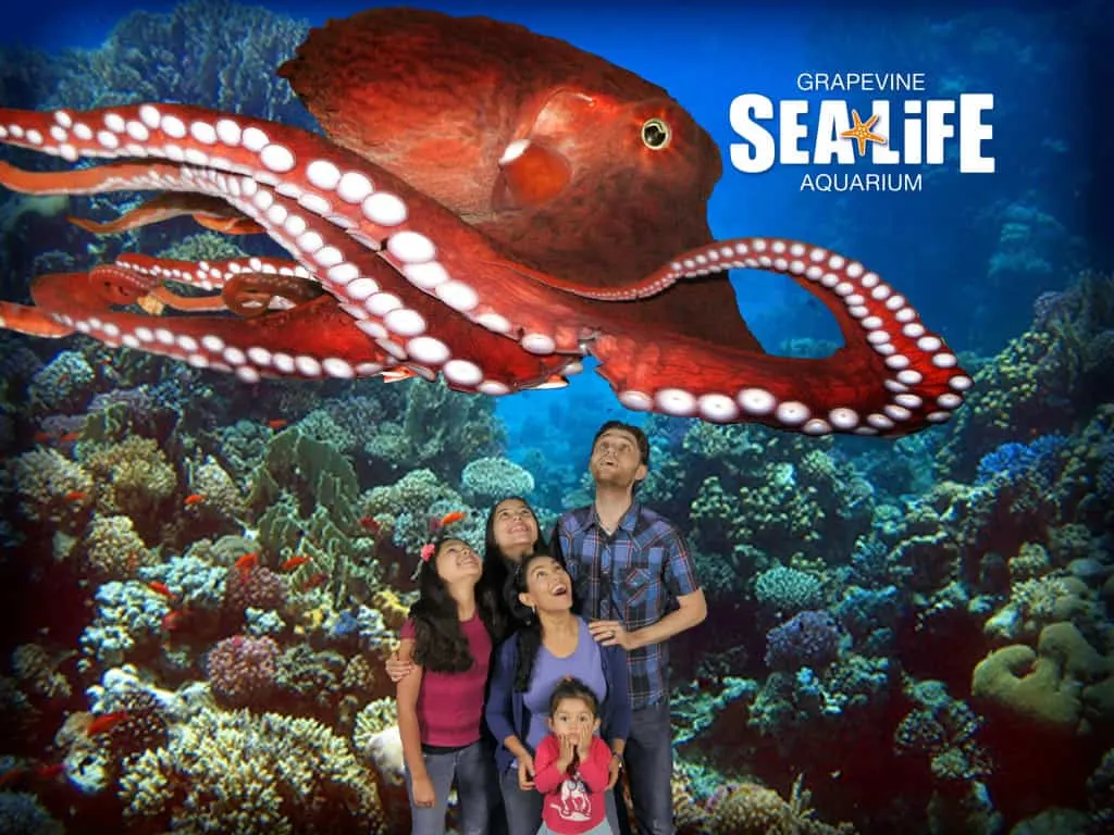SEA LIFE Aquarium in Grapevine TX - Dallas Fort Worth Metroplex