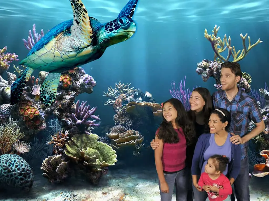 SeaLife Aquarium Grapevine Texas - DFW
