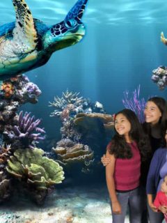SeaLife Aquarium Grapevine Texas - DFW
