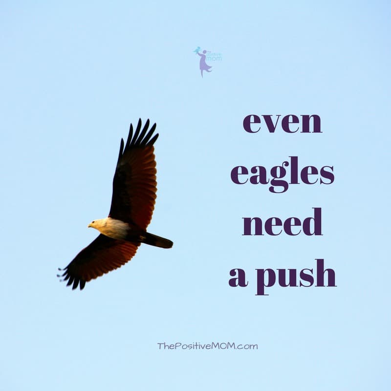 Even eagles need a push! | Elayna Fernandez ~ The Positive MOM