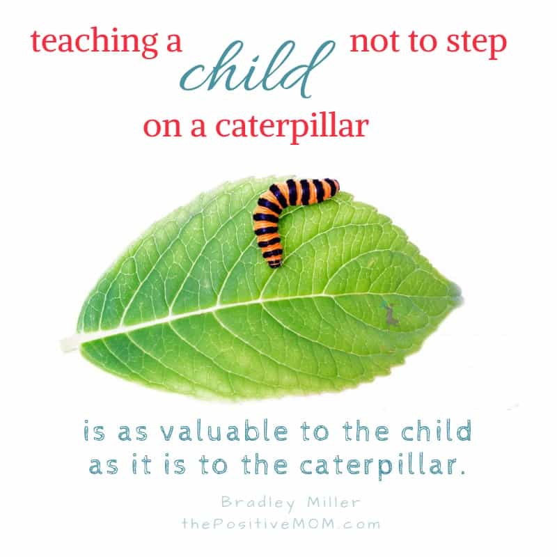 "Teaching a child not to step on a caterpillar is as valuable to the child as it is to the caterpillar." - Bradley Miller 