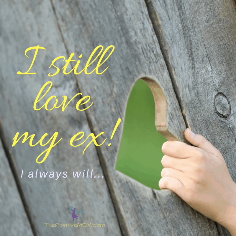 I still love my ex. I will always love my ex.  My ex is my soulmate!