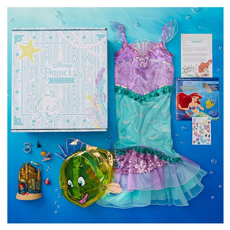 The Disney Princess Enchanted Subscription