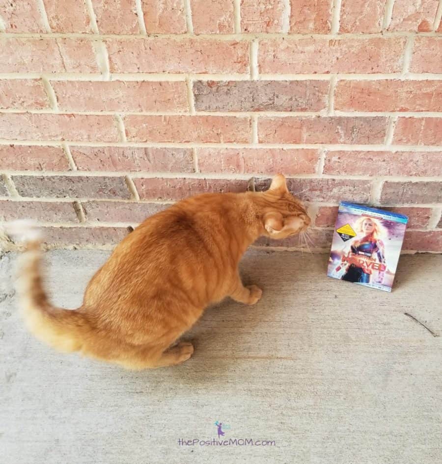 Captain Marvel Goose Bluray digital code giveaway