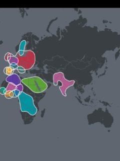 Elayna Fernandez DNA Story - Ancestry DNA - AncestryDNA