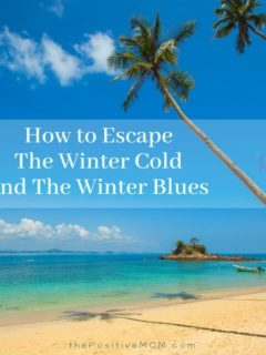 How To Escape The Winter Cold And The Winter Blues