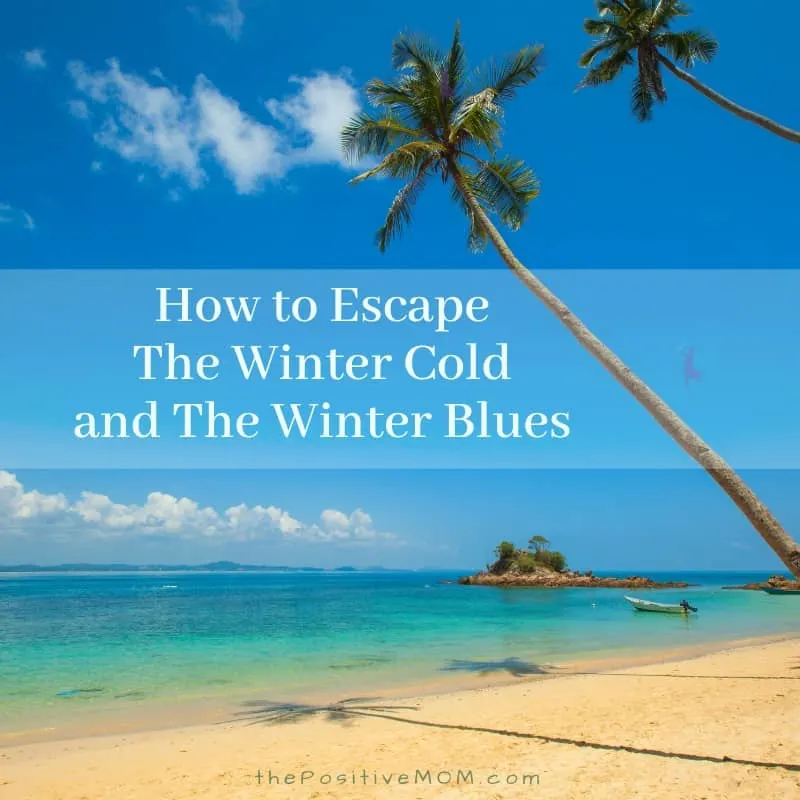 How To Escape The Winter Cold And The Winter Blues