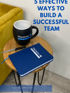 5 effective ways to build a successful team