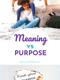 Meaning vs Purpose - What is the difference and why does it matter?