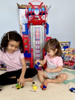 Positive Lessons and Play Time - Inspired by PAW Patrol: The Movie