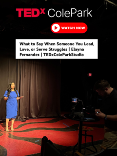 Elayna Fernandez - TEDx talk - The Ministry of Presence